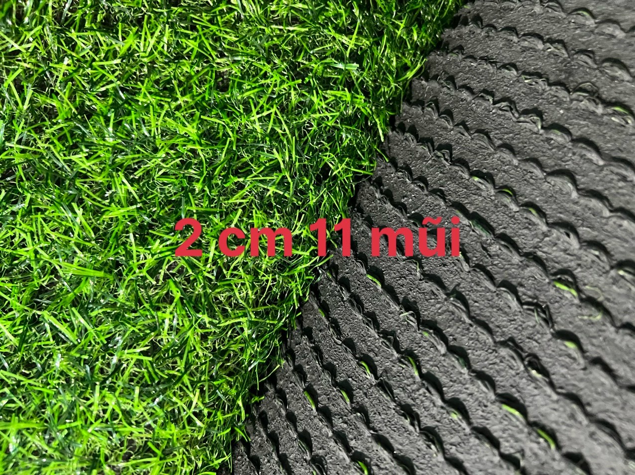 Cỏ nhân tạo sân vườn 2cm 