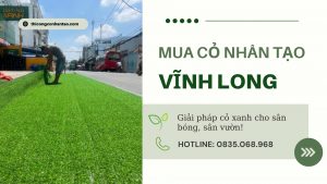 Mua Cỏ Nhân Tạo Vĩnh Long Giá Tốt